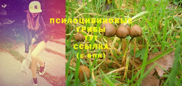 герыч Бугульма
