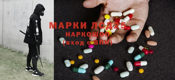 apvp Богородицк