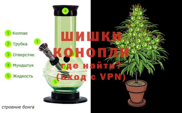 apvp Богородицк