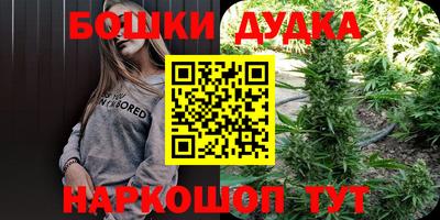 индика Ипатово