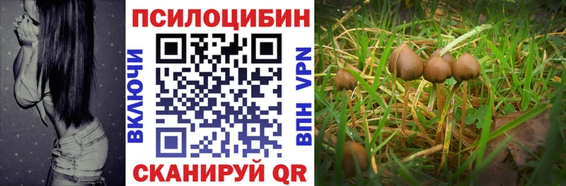 Галлюциногенные грибы Cubensis  ссылка на мегу   Обь 