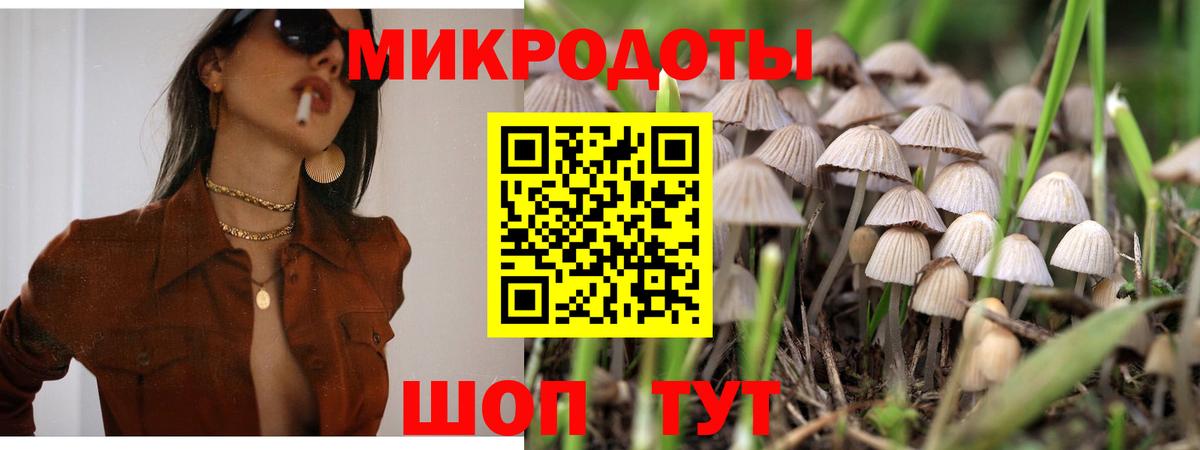 Обь  Галлюциногенные грибы мухоморы  Псилоцибиновые грибы MAGIC MUSHROOMS  Вход с VPN 