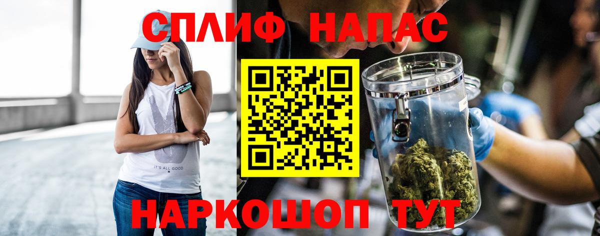 Канабис сатива Обь
